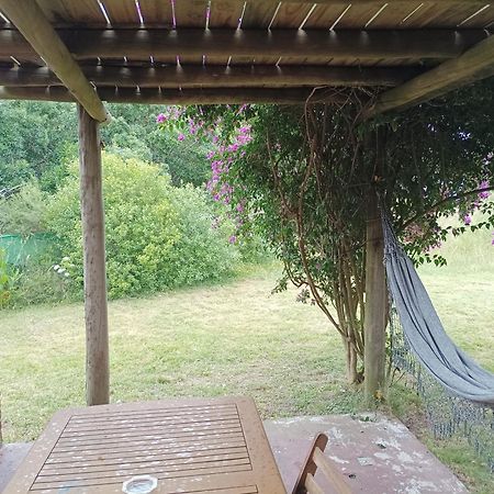 فيلا Casas Punta Negra Piriápolis المظهر الخارجي الصورة